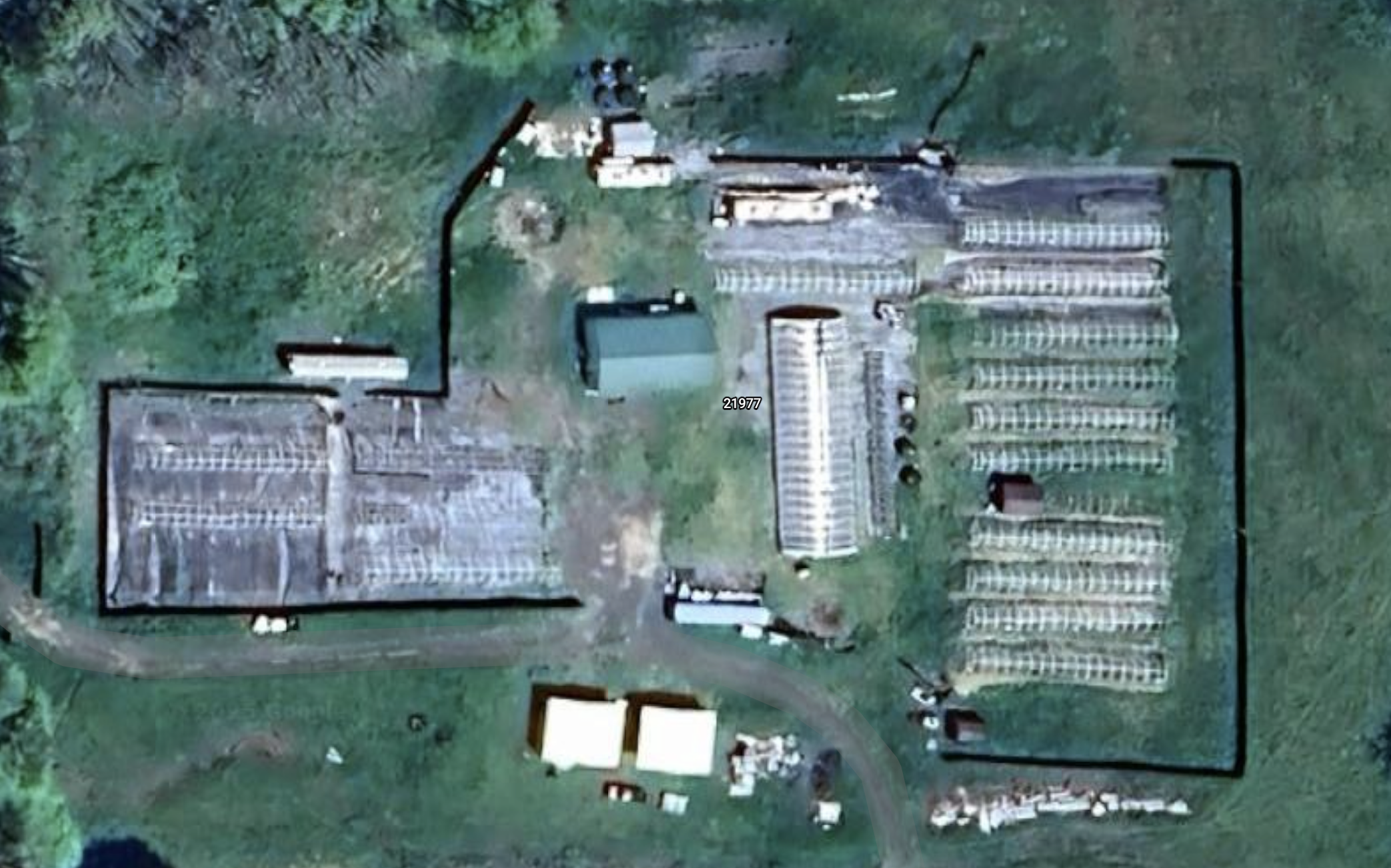 Extreme Medicinals - Current Live Operations